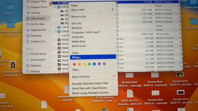 <p>Right click in download and share</p>