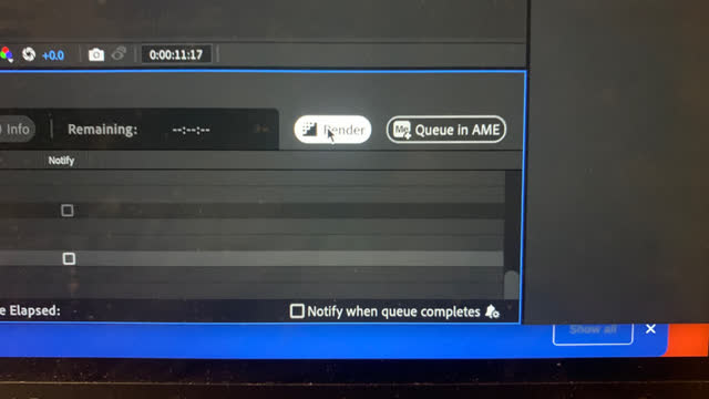 <p>Choose render</p>