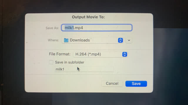 <p>Check name and save to downloads</p>