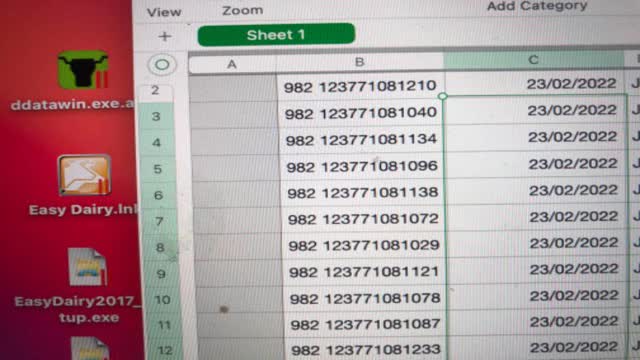 <p>Now copy and paste the date down the entire column</p>