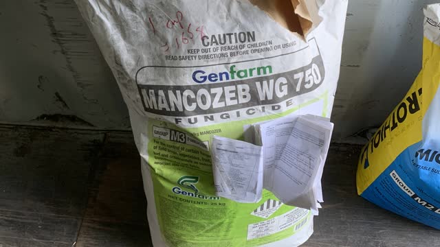 <p>1 full cup is 165g</p>