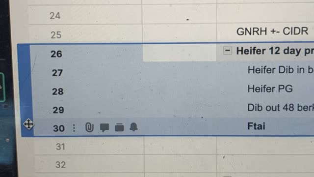 <p>Now highlight the whole program and copy and paste it into the second blank column ie 32 here.</p>
