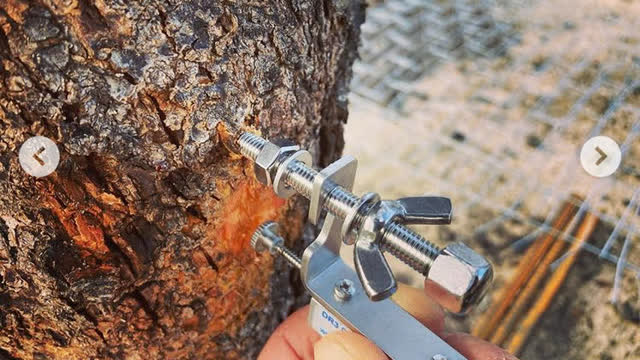 <p>Screw in dendrometer plunger to approx 2cm-4cm out from housing. Hang on mount in a position so that it rests horizontally against the cleared wood surface and is between the washers.</p>