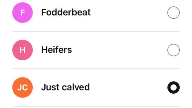 <p>Change the cow to Just Calved</p>
