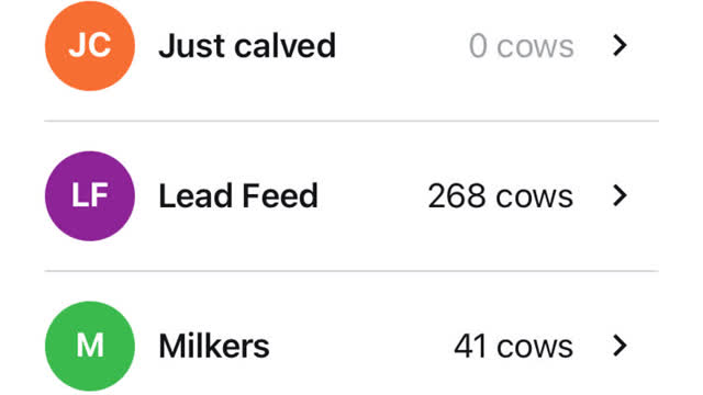 <p>Choose your springer or lead feed mob ( where the cows are calving )</p>
