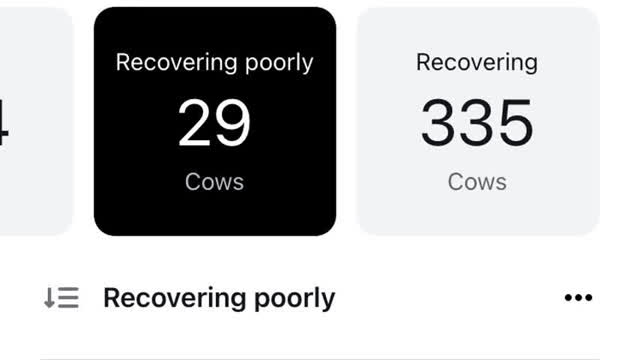 <p>After day 5 or 6 milking in colostrum mob cows will move to the milkers.</p>