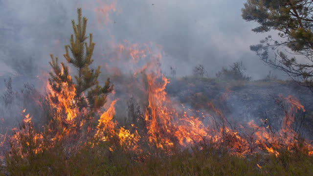 Lastly, assess the fire. It's best to use a fire extinguisher on a fire at a small contained not rapidly growing and in an area that is not yet filled with smoke.