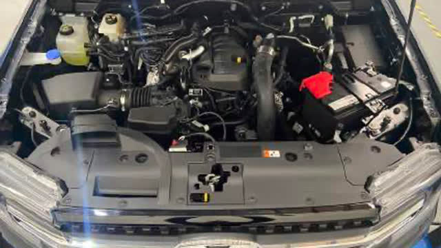 <p>Remove and retain the number plate if fitted, to be reinstalled later.
Remove the factory number plate holder.</p>