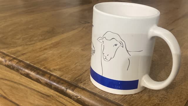 <p>Photo mug</p>
