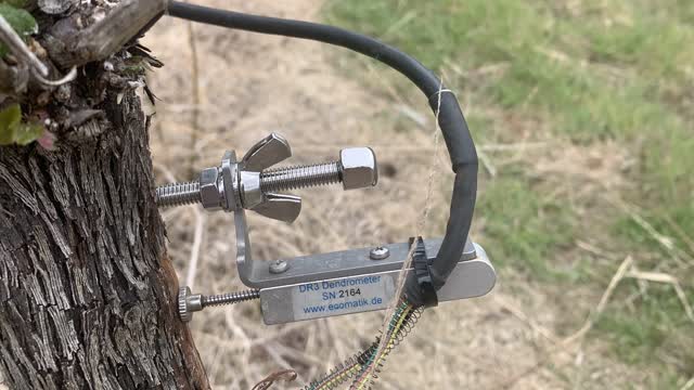 <p>Click this link to <a href="https://knowby.show/54e464bd-a88c-4973-8b36-540eab32b4c8">attach dendrometer</a></p>
