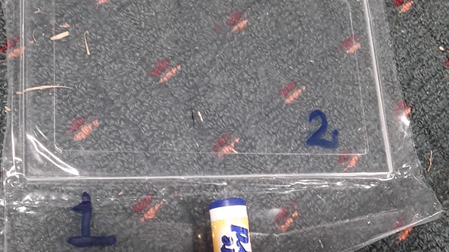 <p>Then, Peel off side labeled "Number 1" and Keep the side labeled "Number 2" in place as shown in the picture.
By doing this, you ensure that the glass remains clean and free from fingerprints.</p>