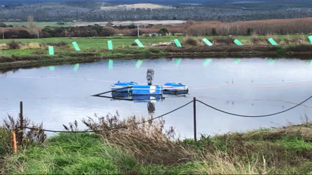 <p>Drowning:
There is potential for drowning in rivers, irrigation dams and the effluent pond.
There is no need to get in or on the pond.
Take care when rivers are in flood.</p>