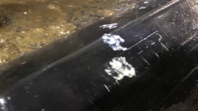 <p>Mastitis usually looks like this with clots but it can also be watery.
If unsure check with someone more experienced.
Essentially the milk looks abnormal.</p>
