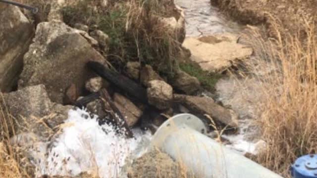 <p>On your way back to shed check outlet at dam to ensure it is spurting water</p>
