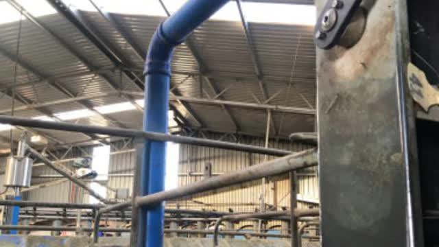 <p>Once you’ve been around whole platform doing this locate the four blue pipes around platform</p>