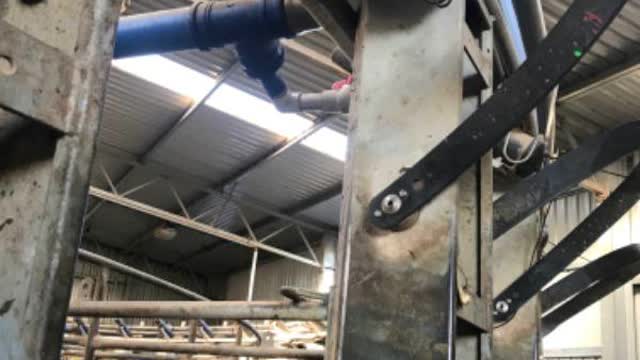<p>Find the pipe with the white pvc pipes coming off them and red tap on top</p>