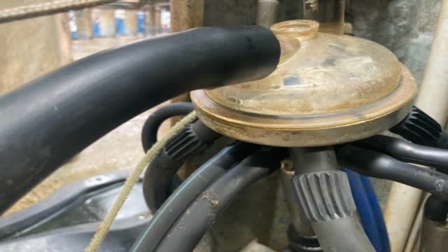 <p>Once water starts going through cups</p>