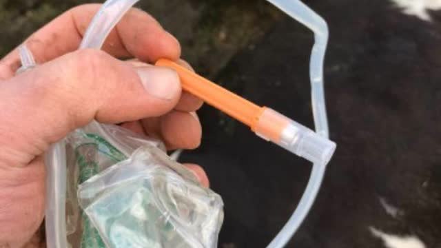 <p>Once finished take needle out of cow smooth out the bulb and put needle back in holder</p>