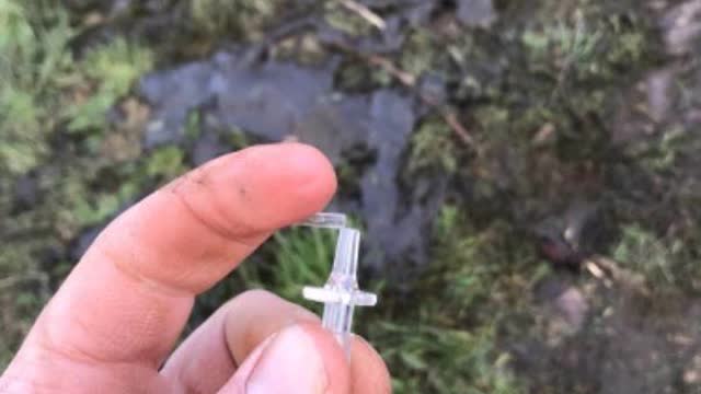 <p>pop The end of the calcium line</p>