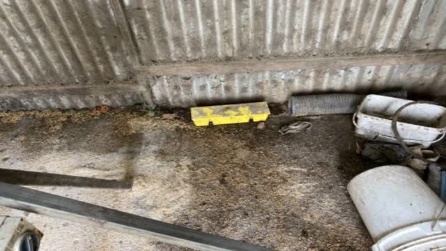 <p>Now go to the feed shed and check the yellow station</p>