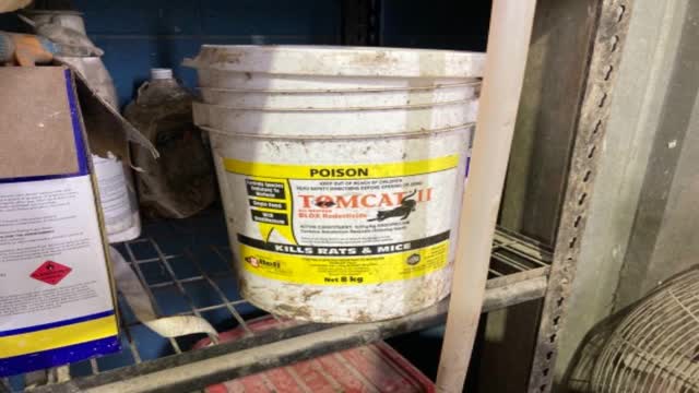 <p>Get the TOM cat rat bait from boot room shelves</p>