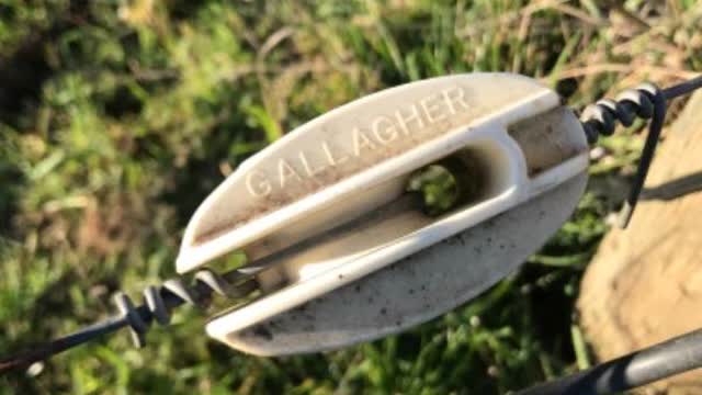 <p>Wind wire around itself to secure to bull nose insulator</p>