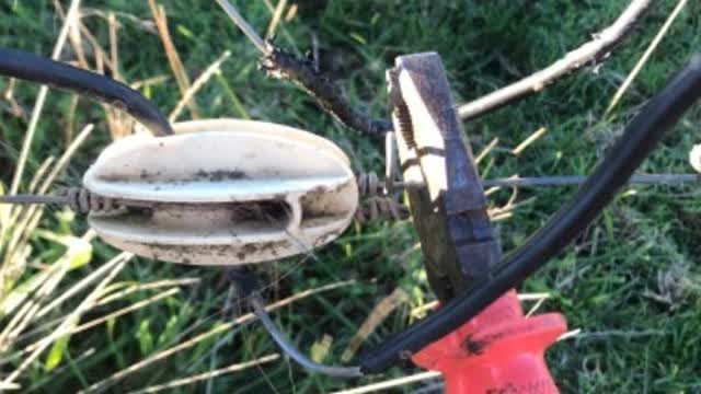 <p>If there is no gripple on fence cut the fence close to the bullnose insulator</p>