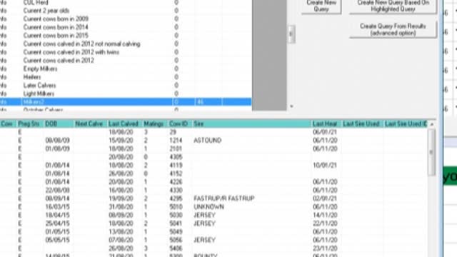 <p>Click on Run report. You can see here that it has bought up 46 cows in the 21S list</p>