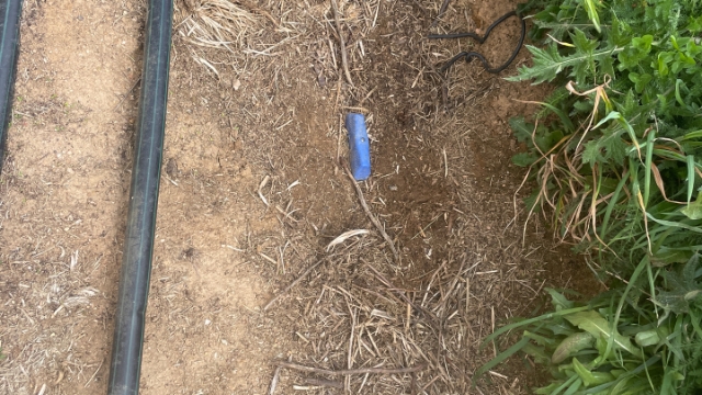 <p>Blue tap behind middle tank isolates water to B&C areas</p>