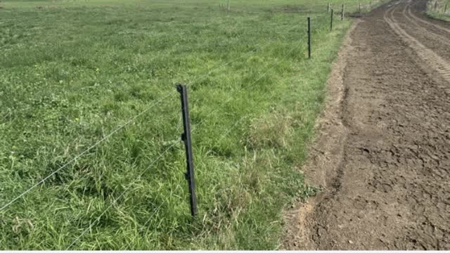 <p>Electric fences:
Electric fences carry electricity and can cause injury.
Treat all fences and gates as if they are live and don't touch.
You will get thrown if you do!</p>