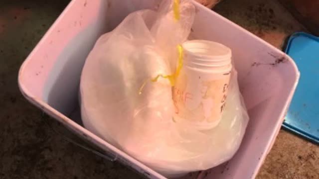 <p>Put cup back in bucket and close bucket</p>