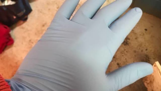 <p>Ensure you’re wearing gloves</p>