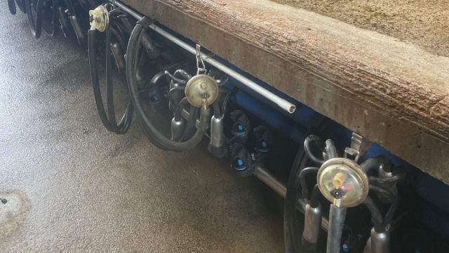 <p>Take cups off the wash line and hang up on hooks</p>