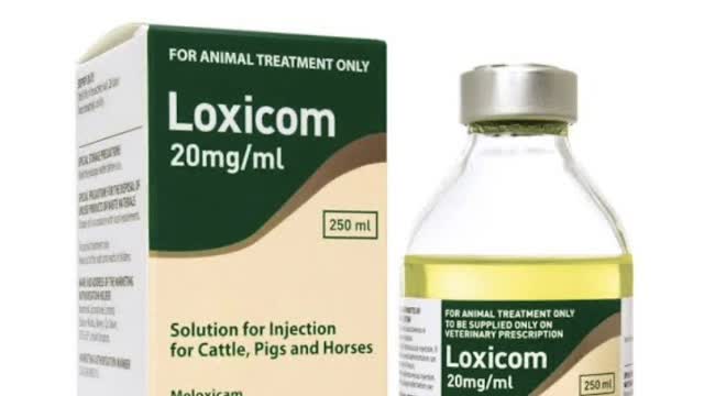 <p>Initial diagnosis and treatment should be administered as soon as possible.
ALL treatments must include pain relief in the form of NSAIDs ( Loxicom )</p>