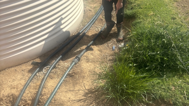 <p>This blue gate valve is in the open position and is the ring main valve. If you want to shut off water to B/C shut this valve and the one over other side of dairy in the PVC encased dropp</p>