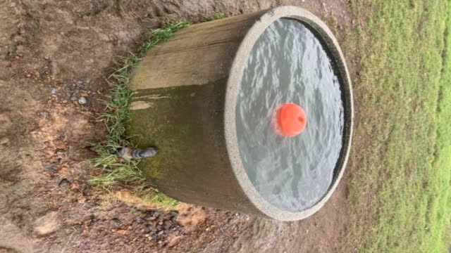 <p>If there’s heaps of water around trough report it AND go to trough</p>