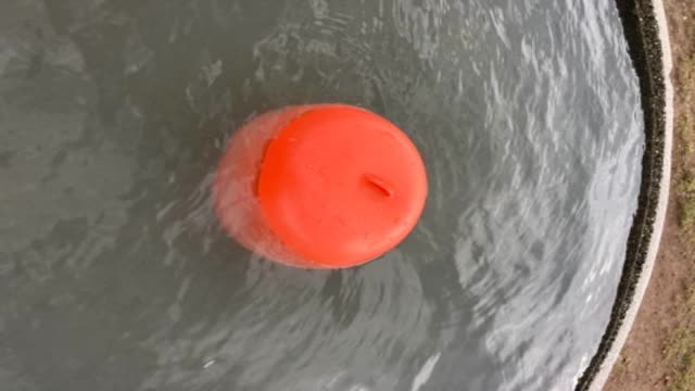 <p>Check that the float (orange ball) is still attached to valve.</p>