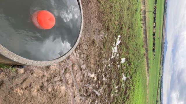 <p>Check water trough when getting cows out of paddock</p>