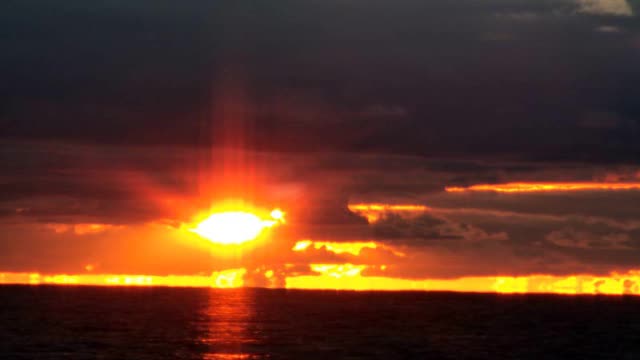 <p>You should be ready to head off for a great day's boating. Remember to get your crew mate to park in a designated parking spot.</p>