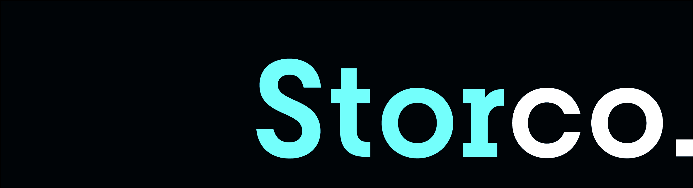 Organisation Logo