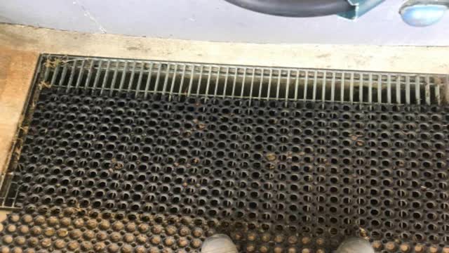<p>Any milk leaks from filter sock or vat will flow under you feet in this drain on cups on - Keep an eye under your feet on the first round of milking.</p>
