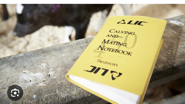 <p>Write in yellow note book</p>