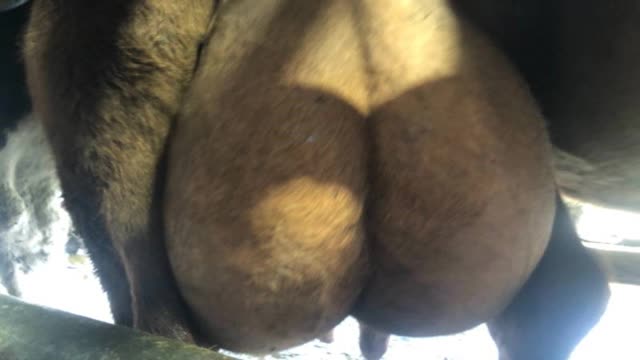 <p>Tight like this</p>